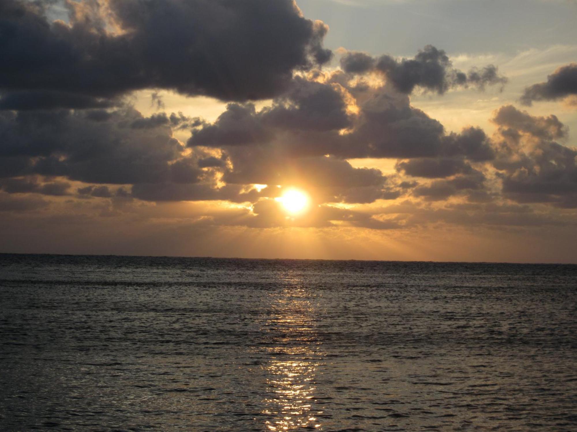 The Rock House Eco (Adults Only) Bed and Breakfast San Andrés Eksteriør billede