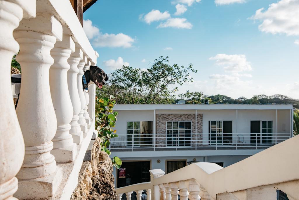 The Rock House Eco (Adults Only) Bed and Breakfast San Andrés Eksteriør billede