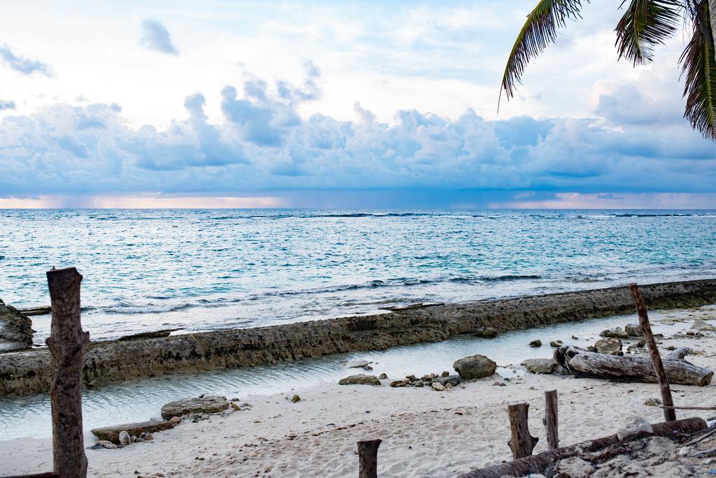 The Rock House Eco (Adults Only) Bed and Breakfast San Andrés Eksteriør billede